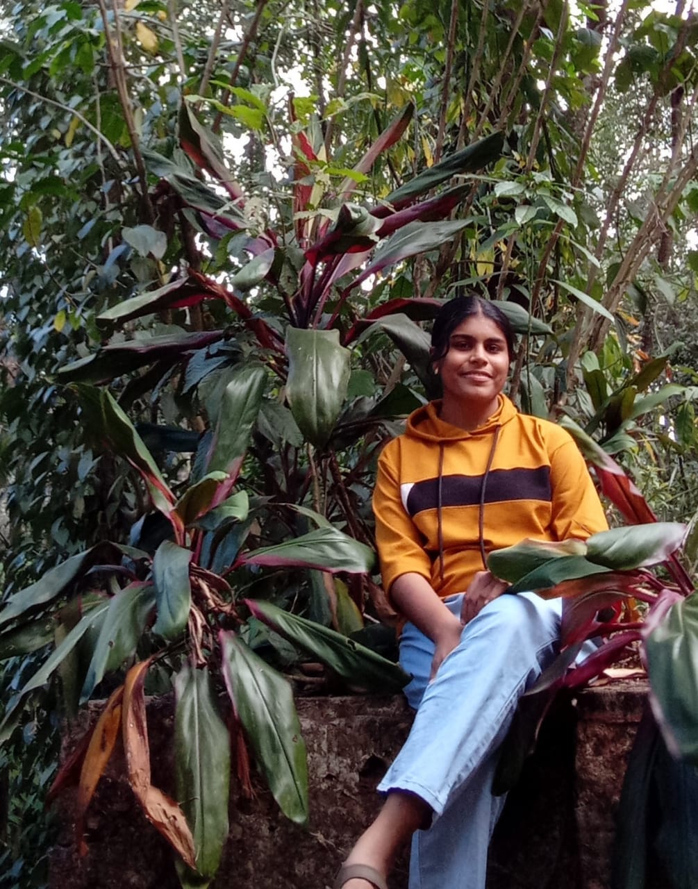 Anupama J A